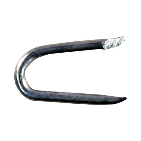 National Nail Pro-Fit Hot-Dipped Galvanized Steel 0.75 in. Poultry Staples 5692272
